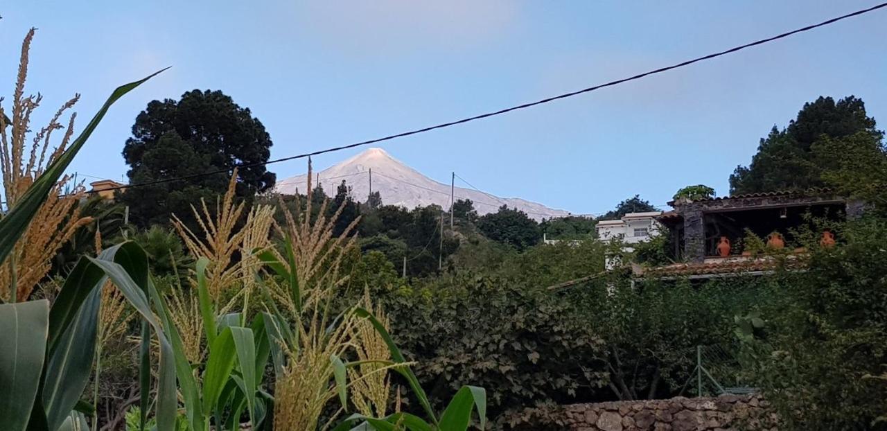 La Tagora Conect With The Nature & Relax 伊科德·德·洛斯·维诺斯 外观 照片
