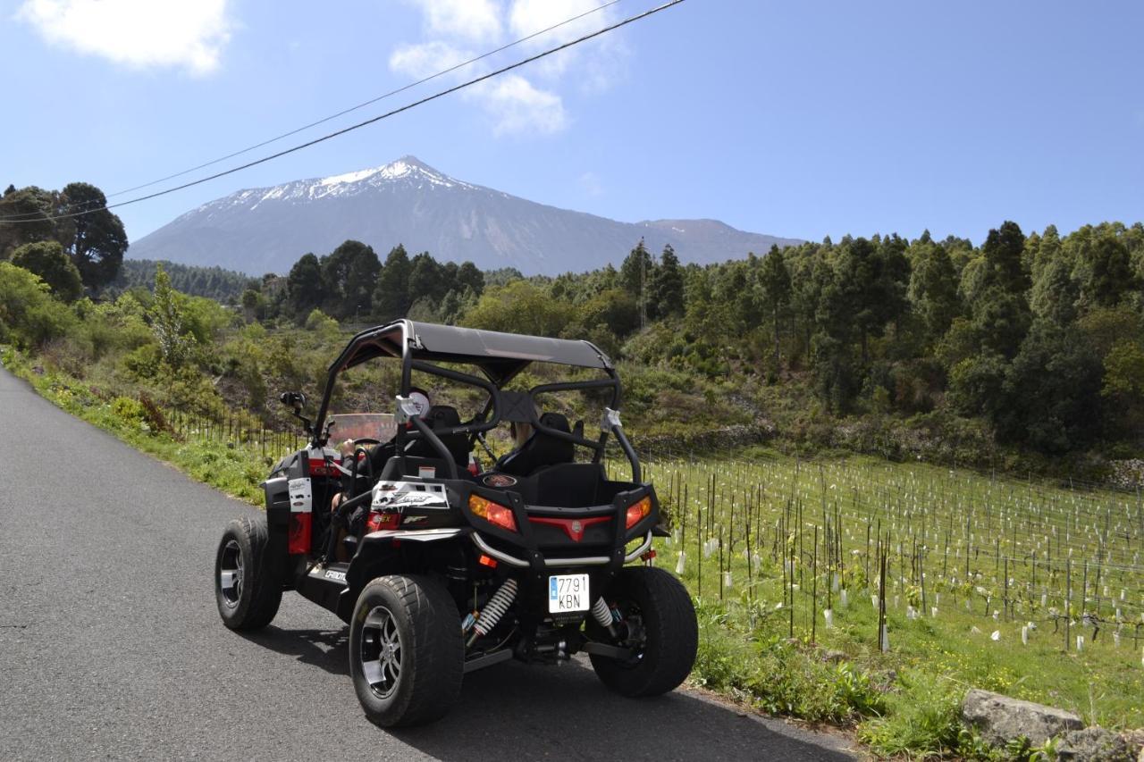 La Tagora Conect With The Nature & Relax 伊科德·德·洛斯·维诺斯 外观 照片