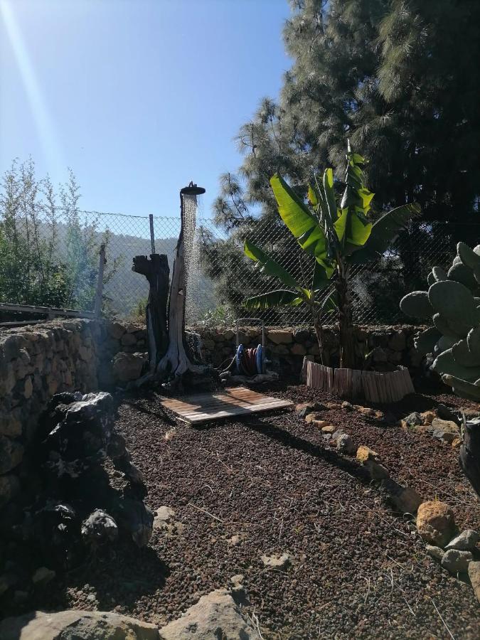 La Tagora Conect With The Nature & Relax 伊科德·德·洛斯·维诺斯 外观 照片